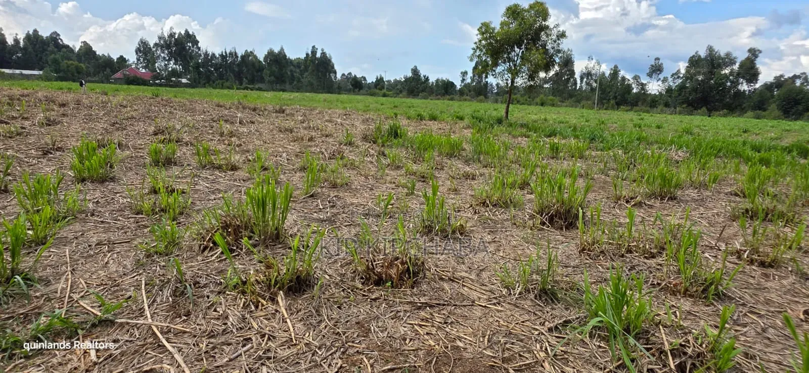 6 Acres for Sale in Kapsetet Bypass Eldoret in Wareng