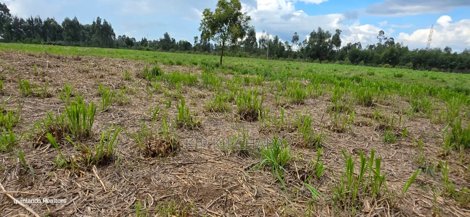6 Acres for Sale in Kapsetet Bypass Eldoret in Wareng