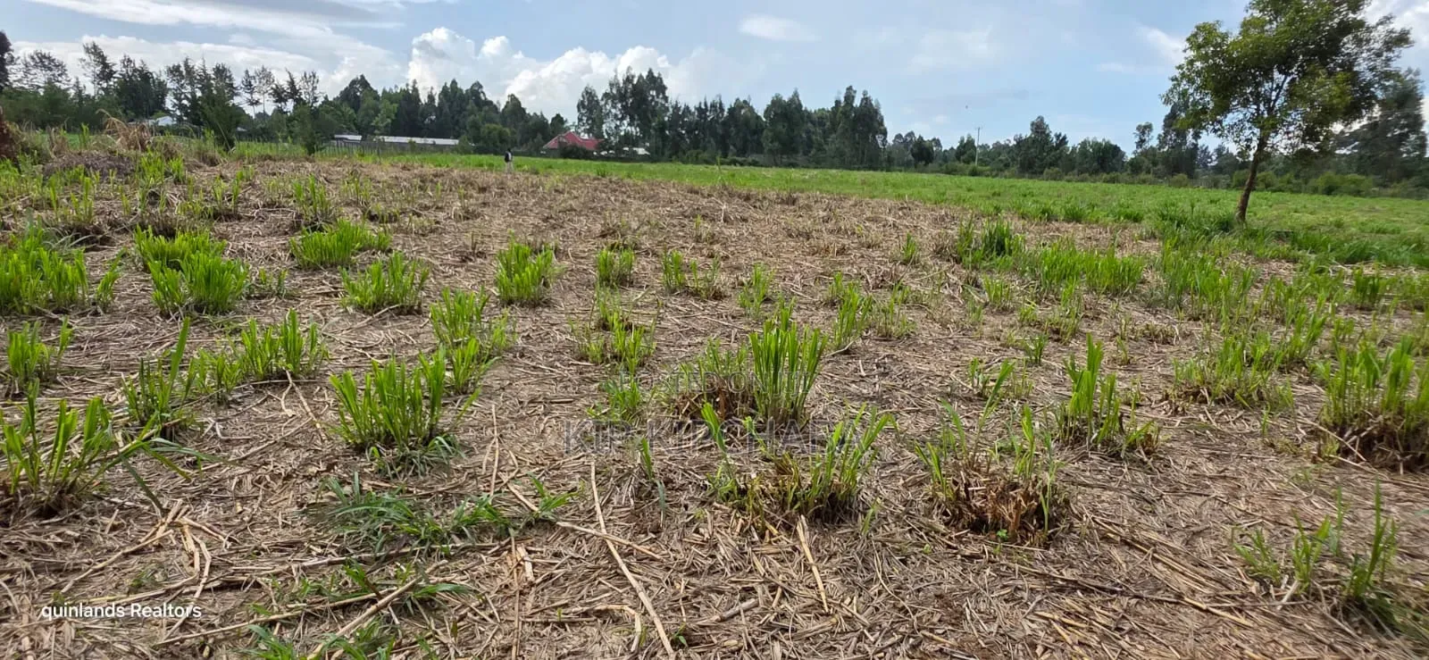 6 Acres for Sale in Kapsetet Bypass Eldoret in Wareng