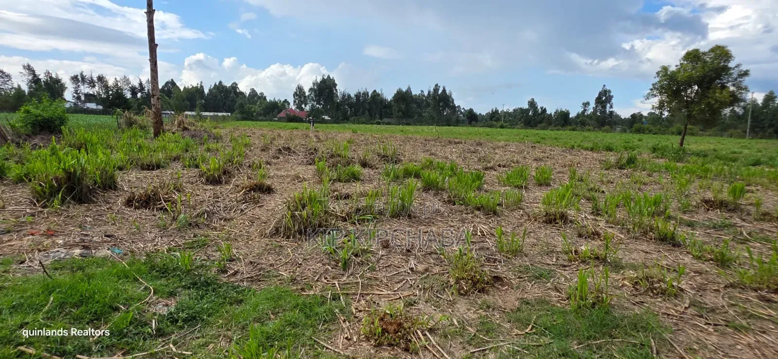 6 Acres for Sale in Kapsetet Bypass Eldoret in Wareng