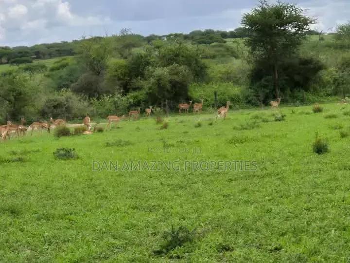 Functional Ranch of 540 Acres for Sale in Bisil Kajiado With Airstrip in Bisil