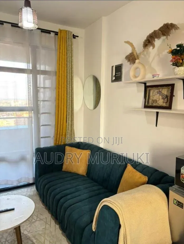 Luxurious Studio Airbnb in Roysambu in Roysambu
