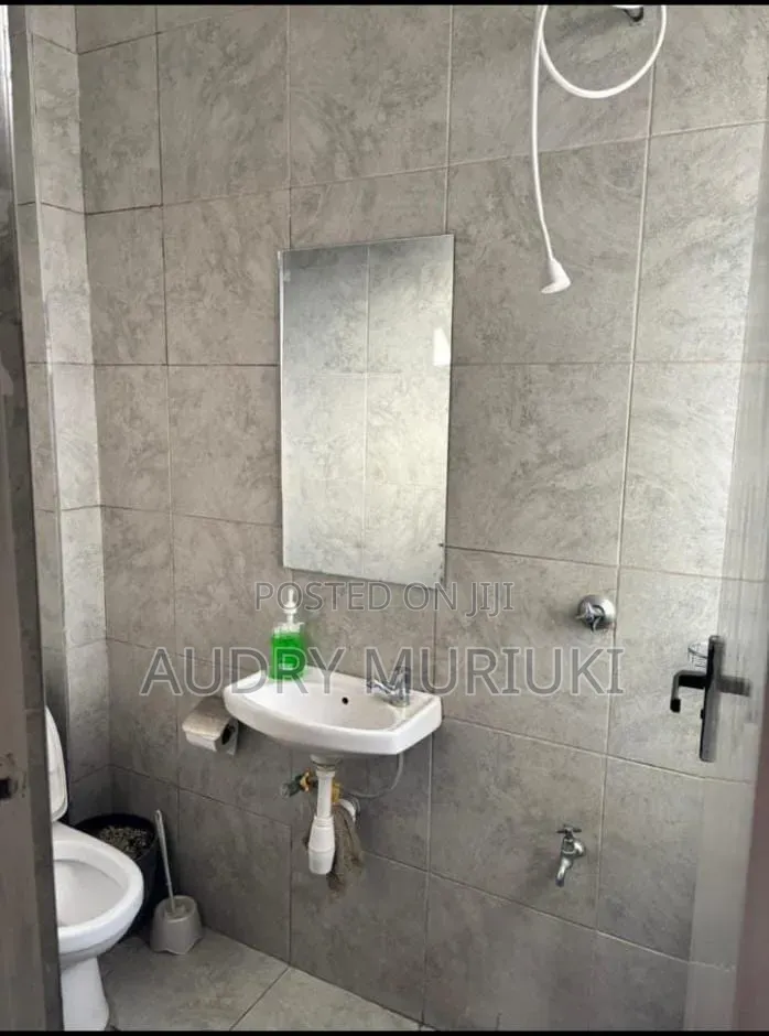 Luxurious Studio Airbnb in Roysambu in Roysambu