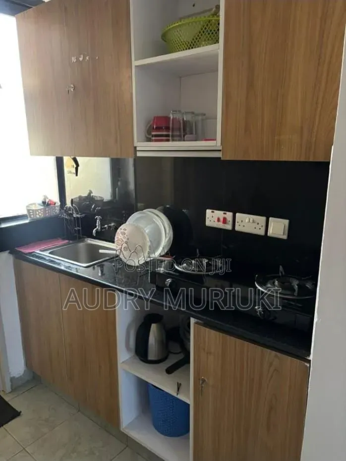 Luxurious Studio Airbnb in Roysambu in Roysambu