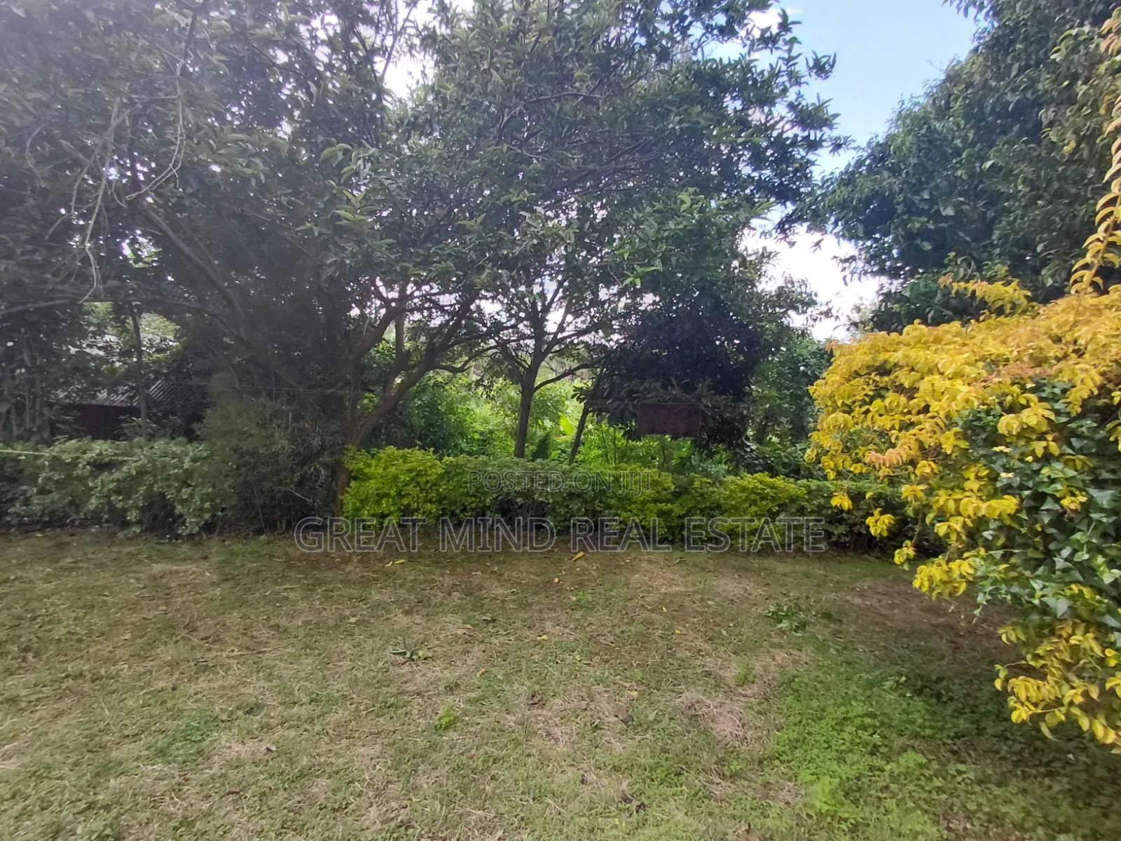 Land on Sale in Ngong CBD