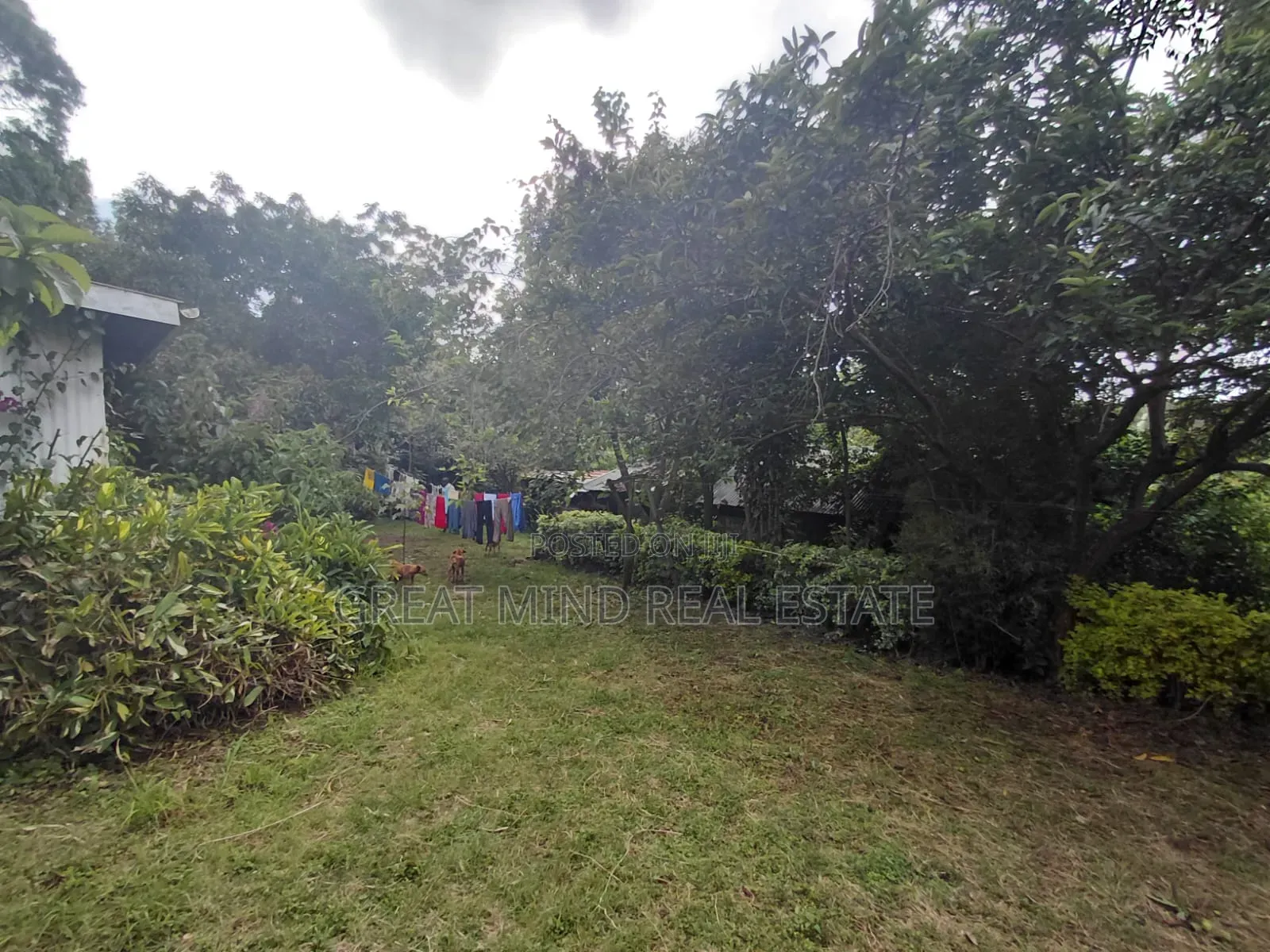 Land on Sale in Ngong CBD