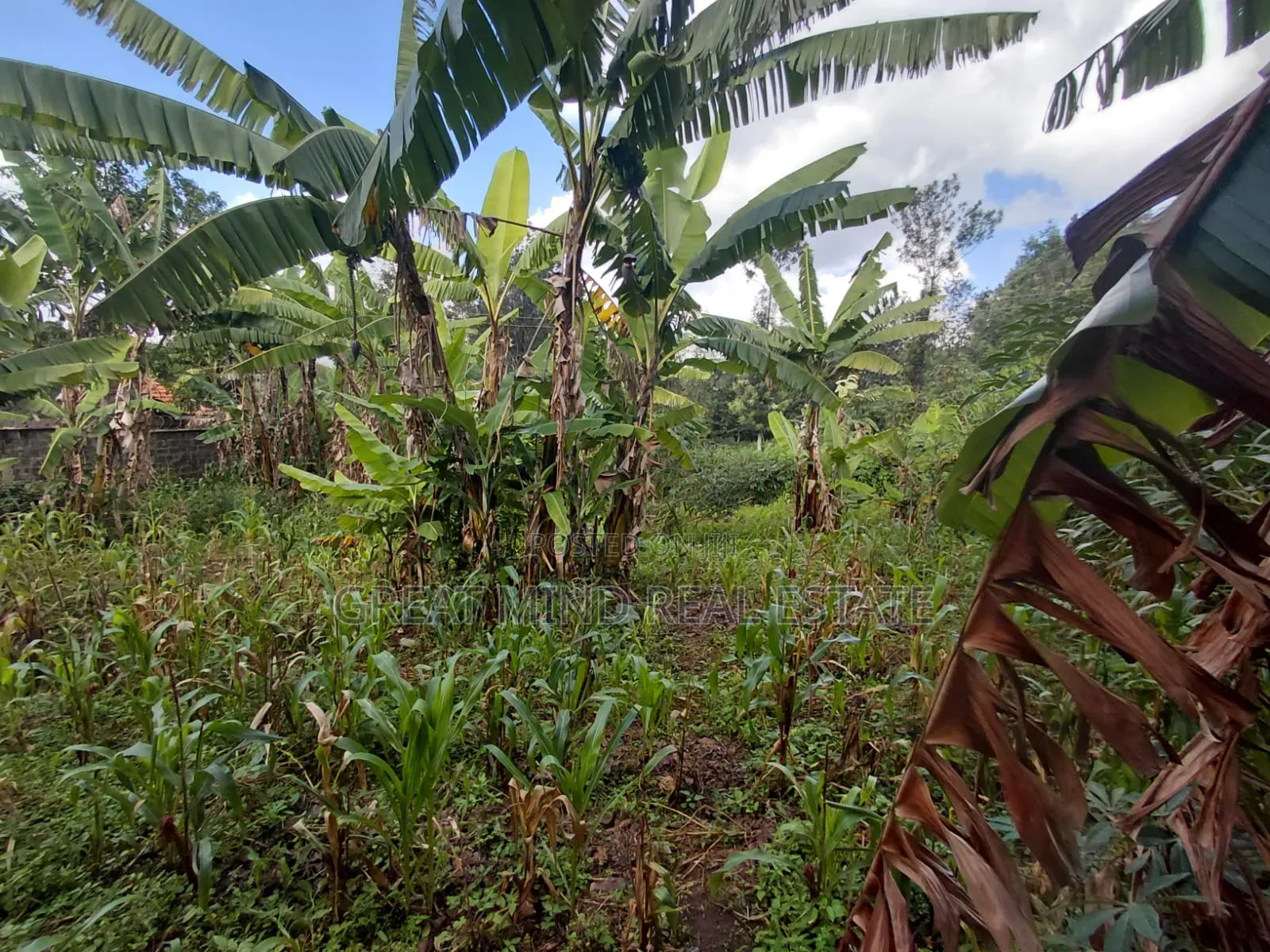 Land on Sale in Ngong CBD