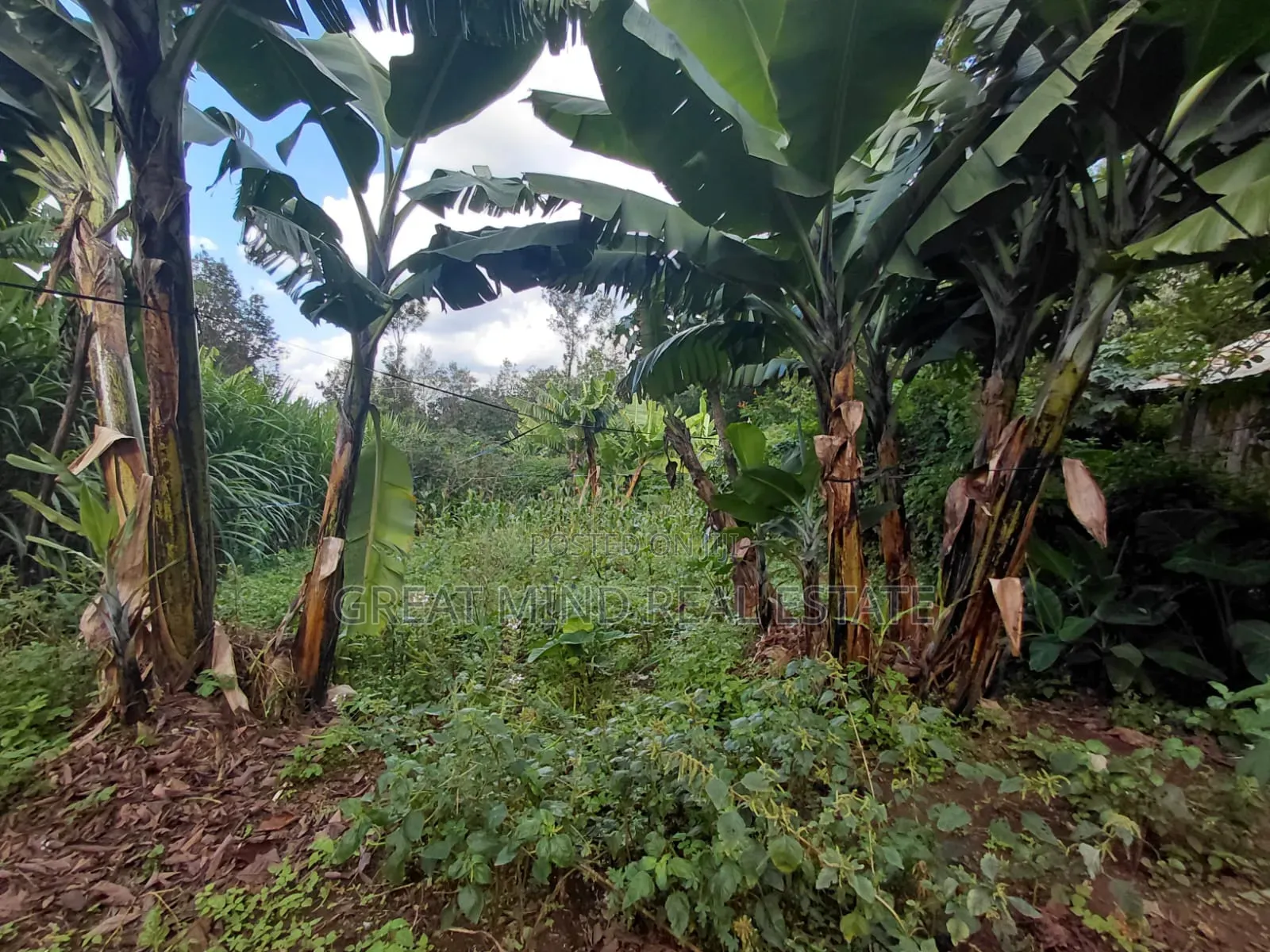 Land on Sale in Ngong CBD