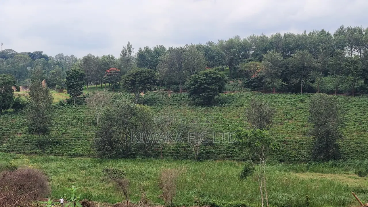 Prime Land Along Thika Gatanga Road in Gatanga