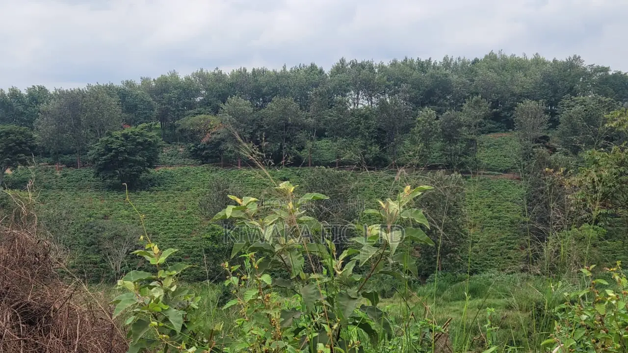 Prime Land Along Thika Gatanga Road in Gatanga