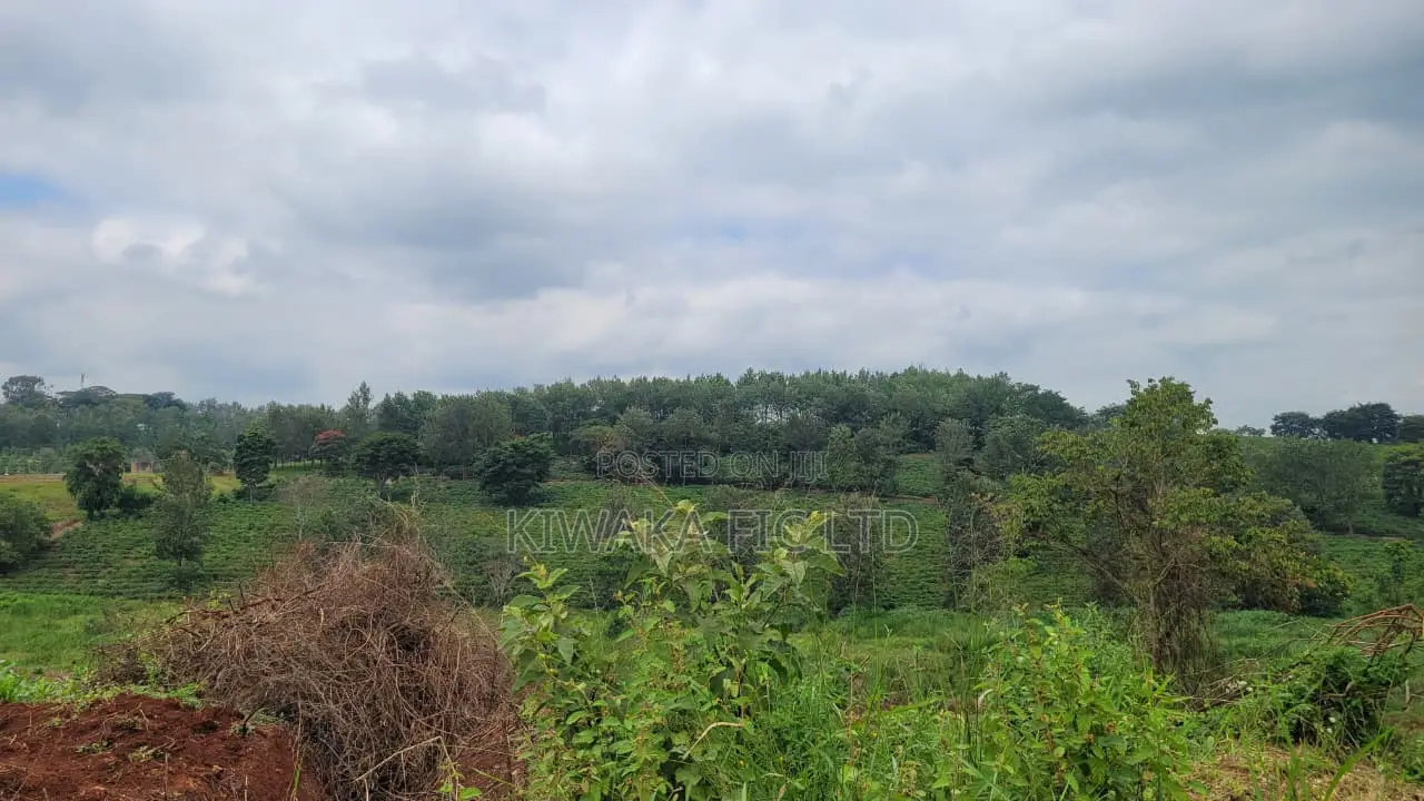 Prime Land Along Thika Gatanga Road in Gatanga