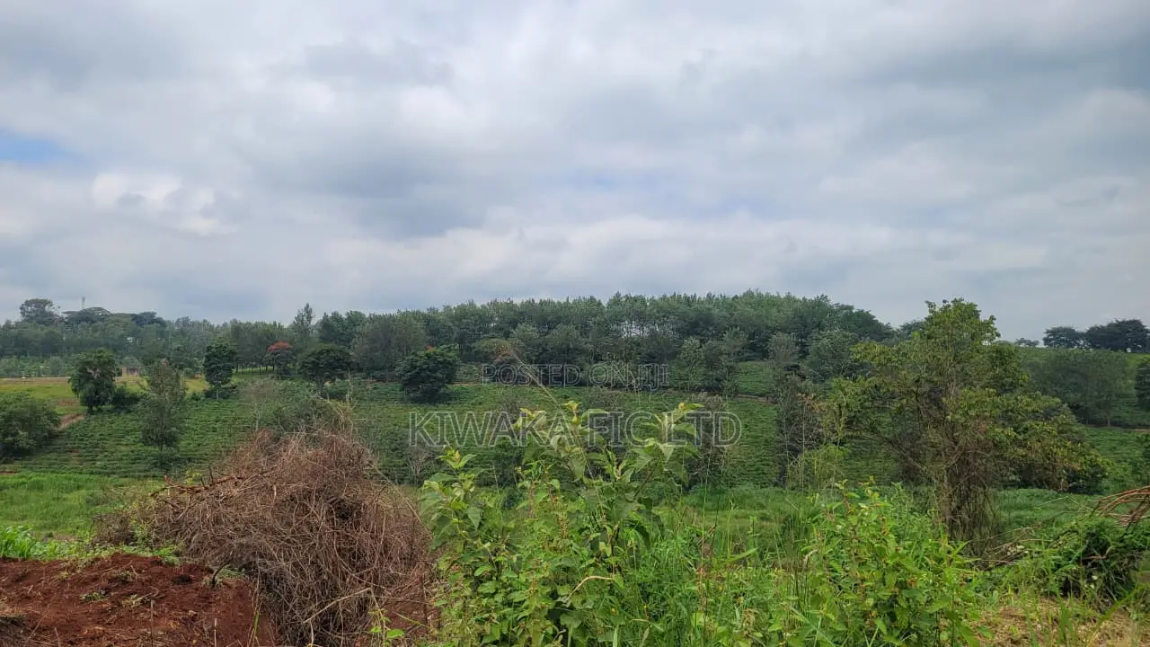 Prime Land Along Thika Gatanga Road in Gatanga