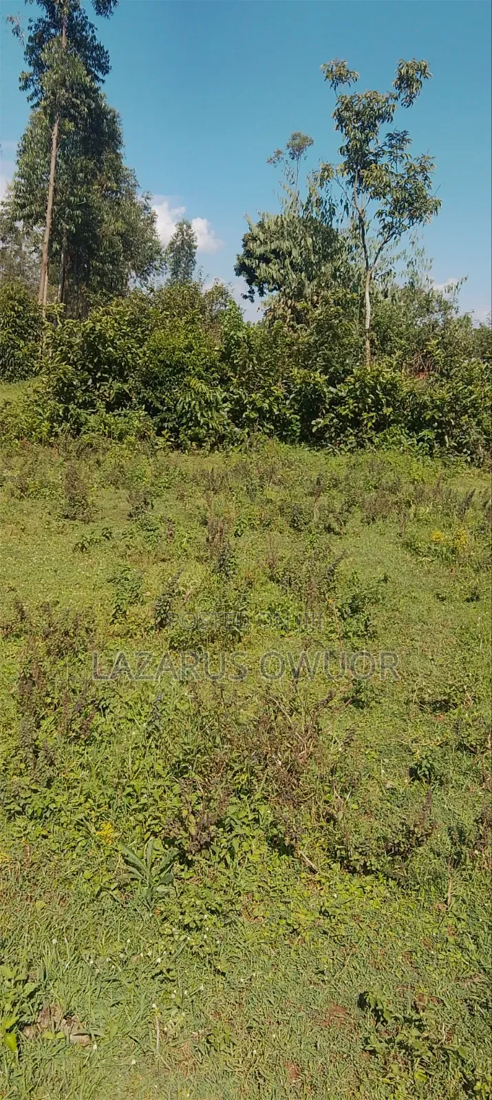 Land for Sale in East Kamagambo