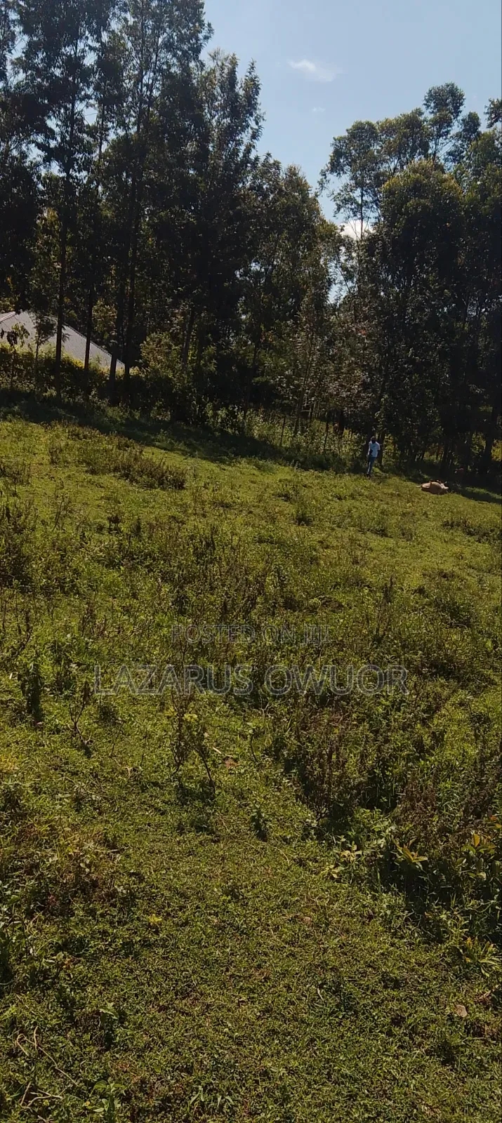 Land for Sale in East Kamagambo
