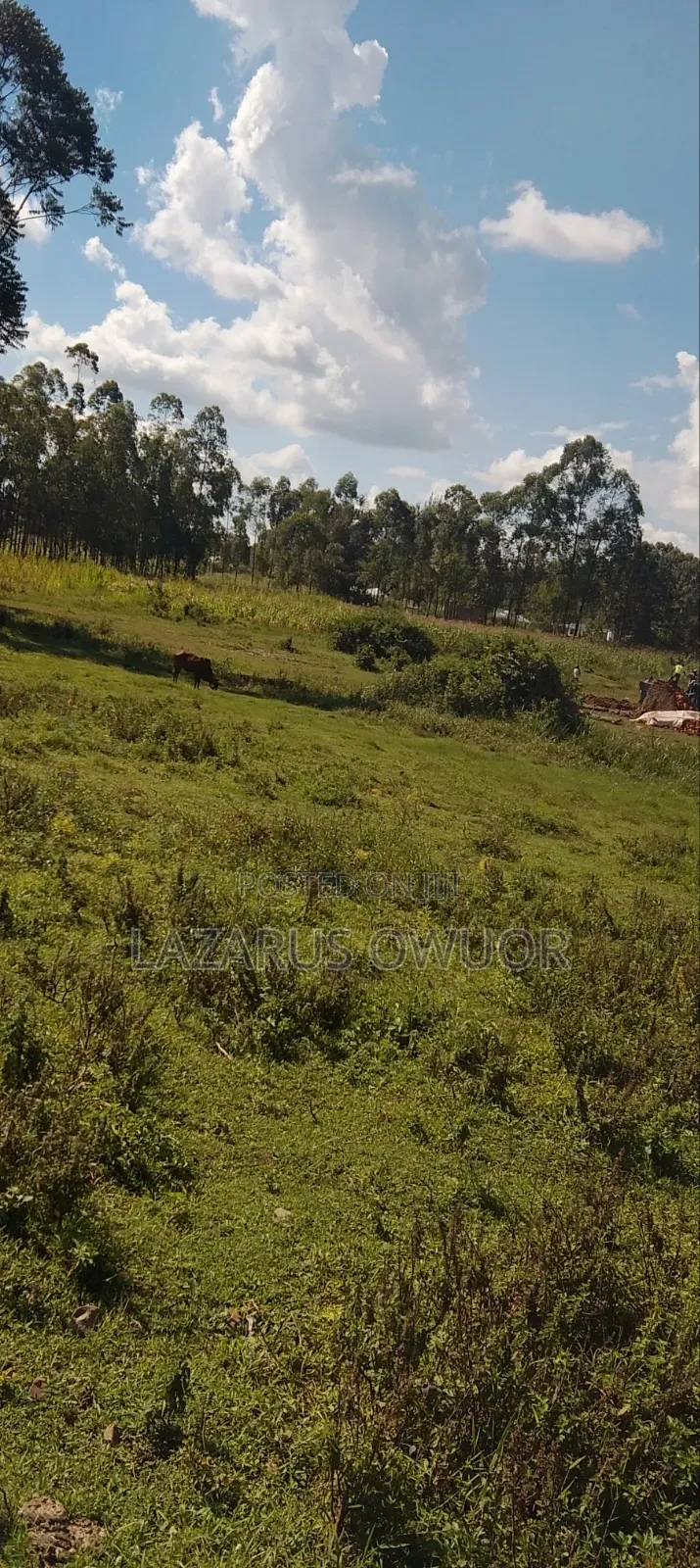 Land for Sale in East Kamagambo