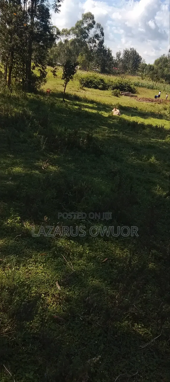 Land for Sale in East Kamagambo