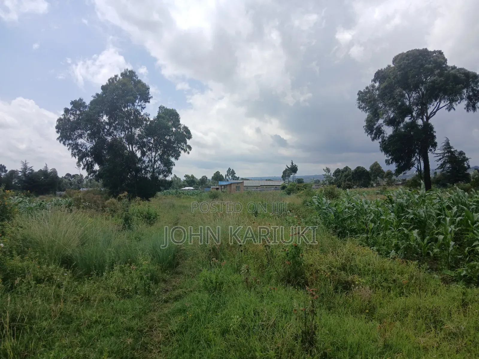 One Acre Land in Naivasha Mwichirigiri Near the School. in Naivasha East