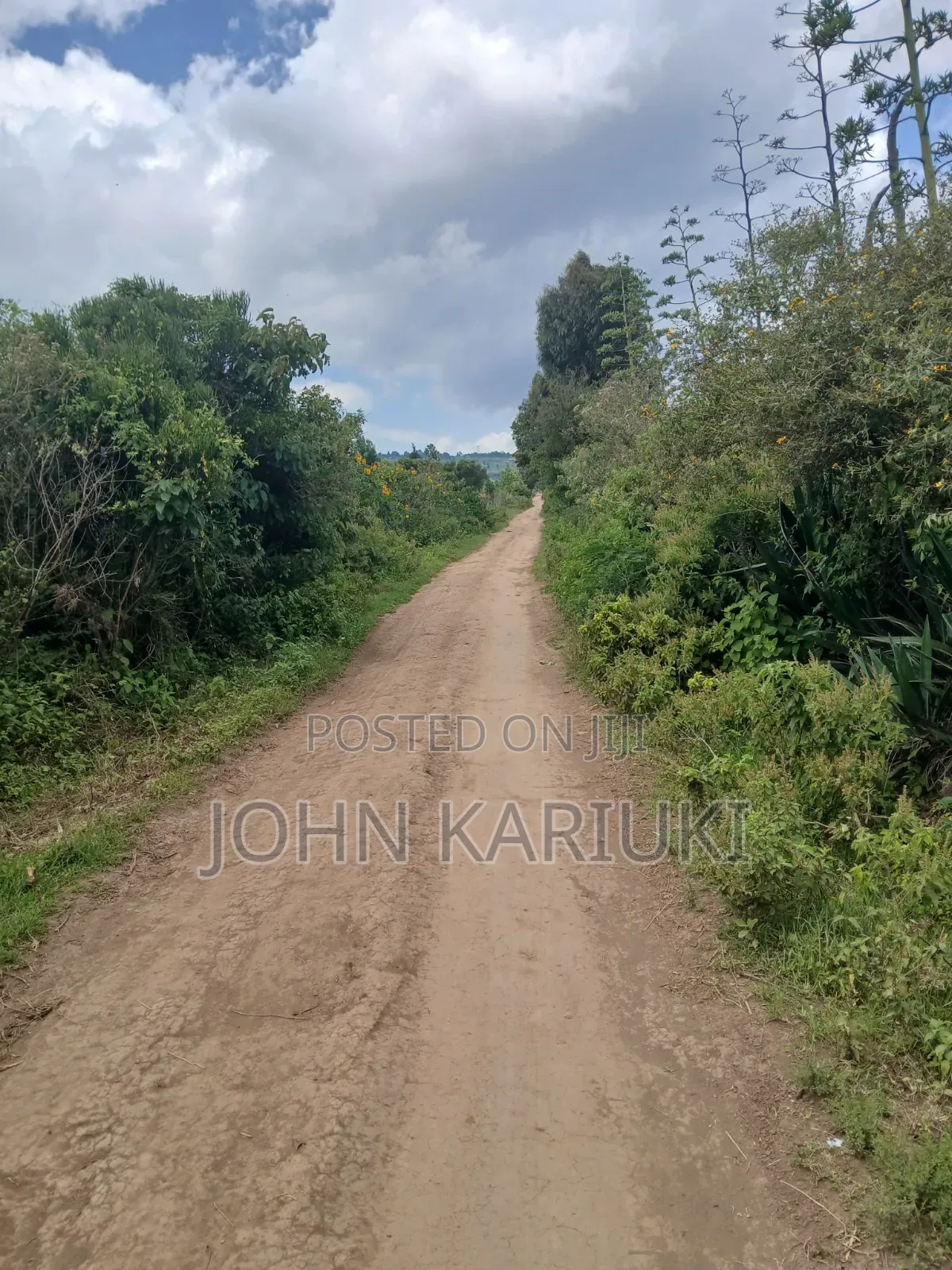 One Acre Land in Naivasha Mwichirigiri Near the School. in Naivasha East
