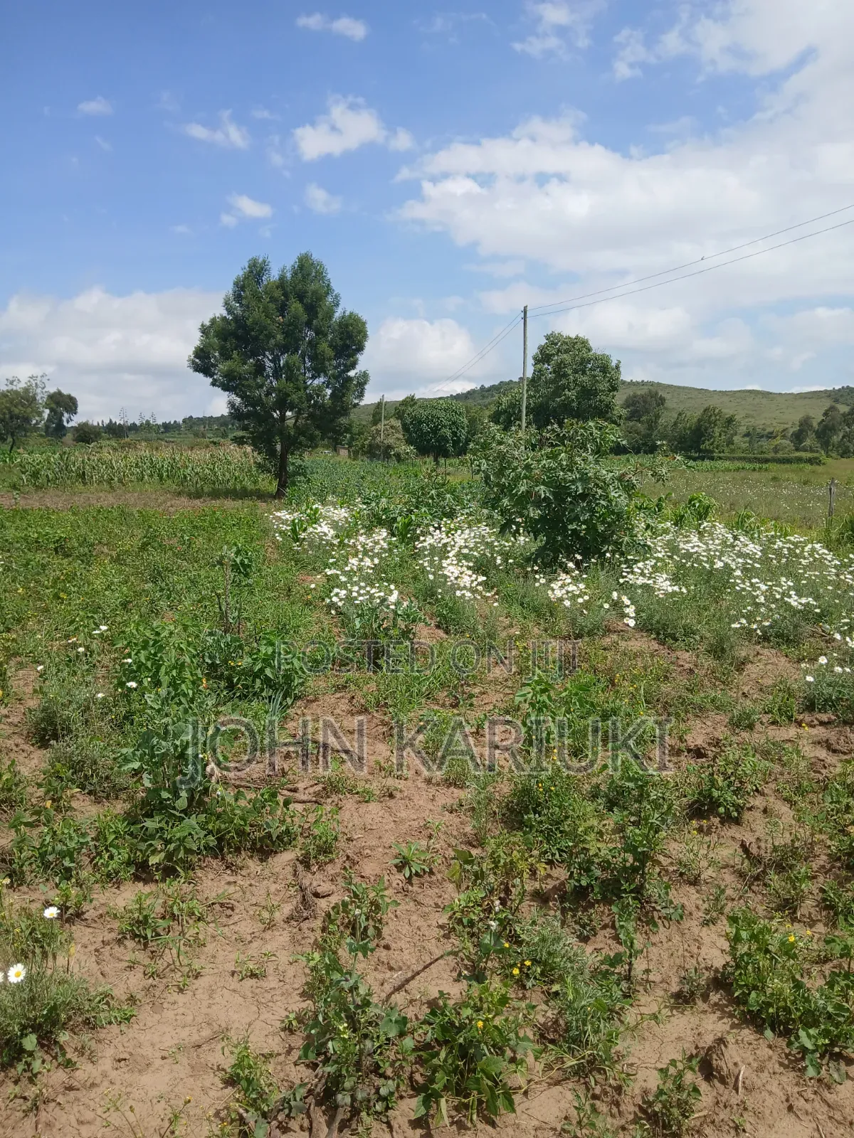 100x100 Land in Naivasha Mwichirigiri Near the Church in Naivasha East