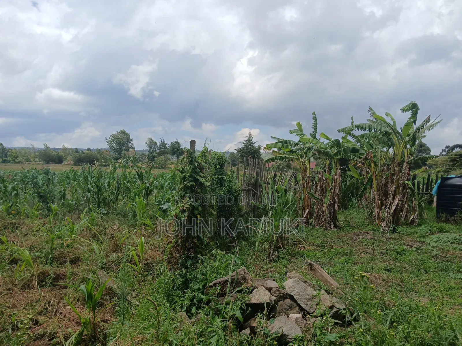 100x100 Land in Naivasha Mwichirigiri Near the Church in Naivasha East