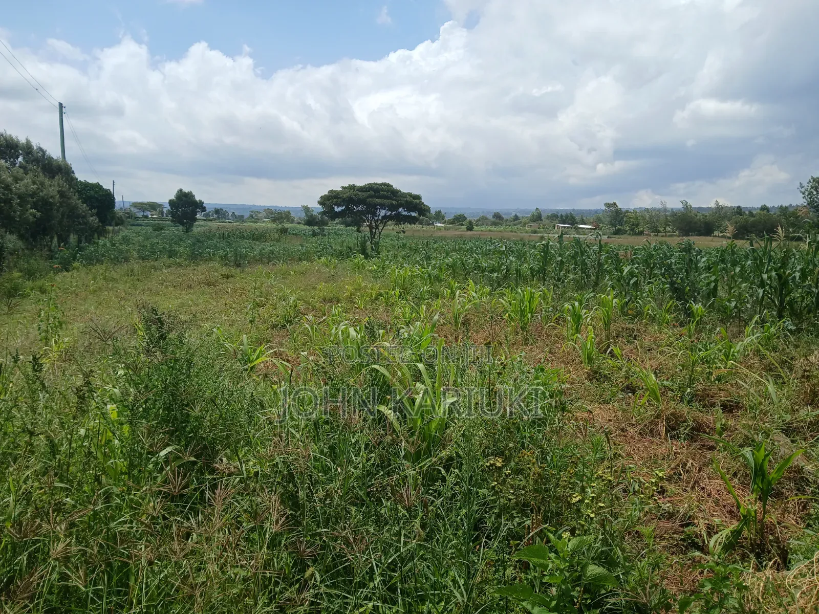 100x100 Land in Naivasha Mwichirigiri Near the Church in Naivasha East