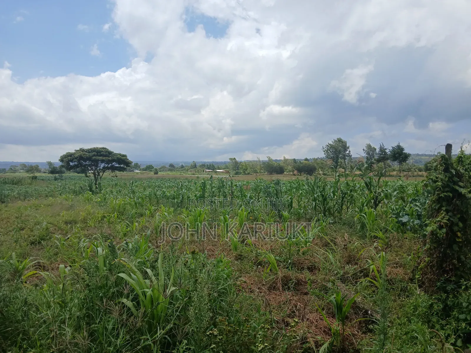100x100 Land in Naivasha Mwichirigiri Near the Church in Naivasha East