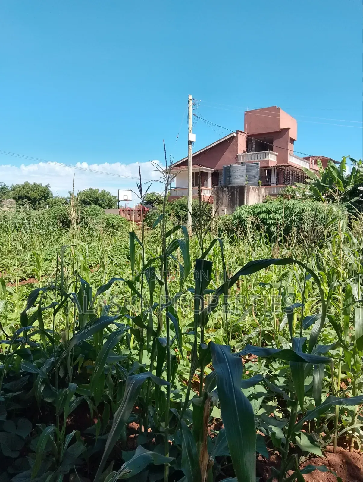 1/8 Prime Residential Plot for Sale in Utange in Utange