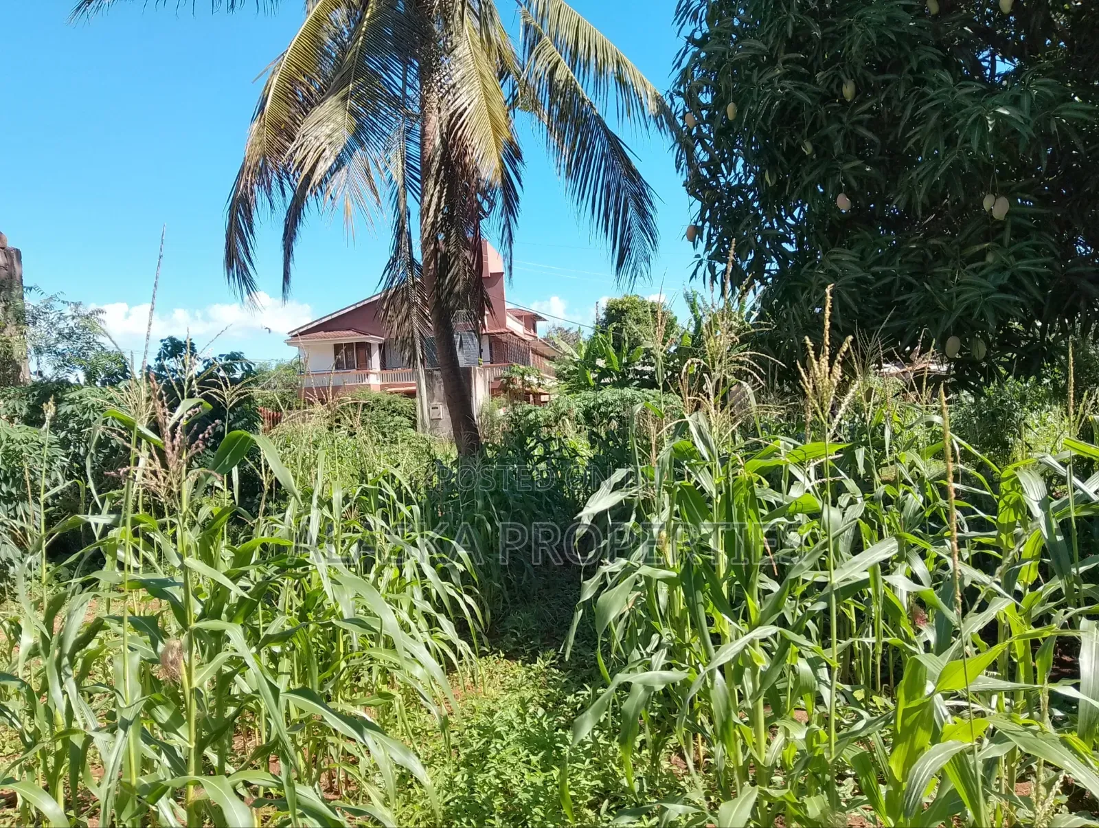 1/8 Prime Residential Plot for Sale in Utange in Utange