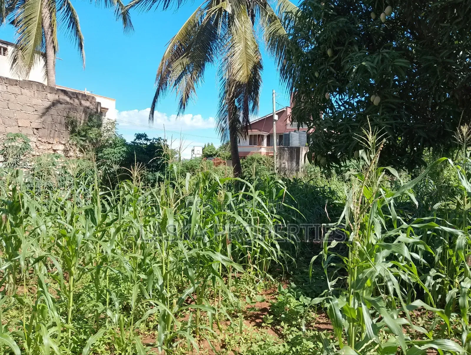 1/8 Prime Residential Plot for Sale in Utange in Utange