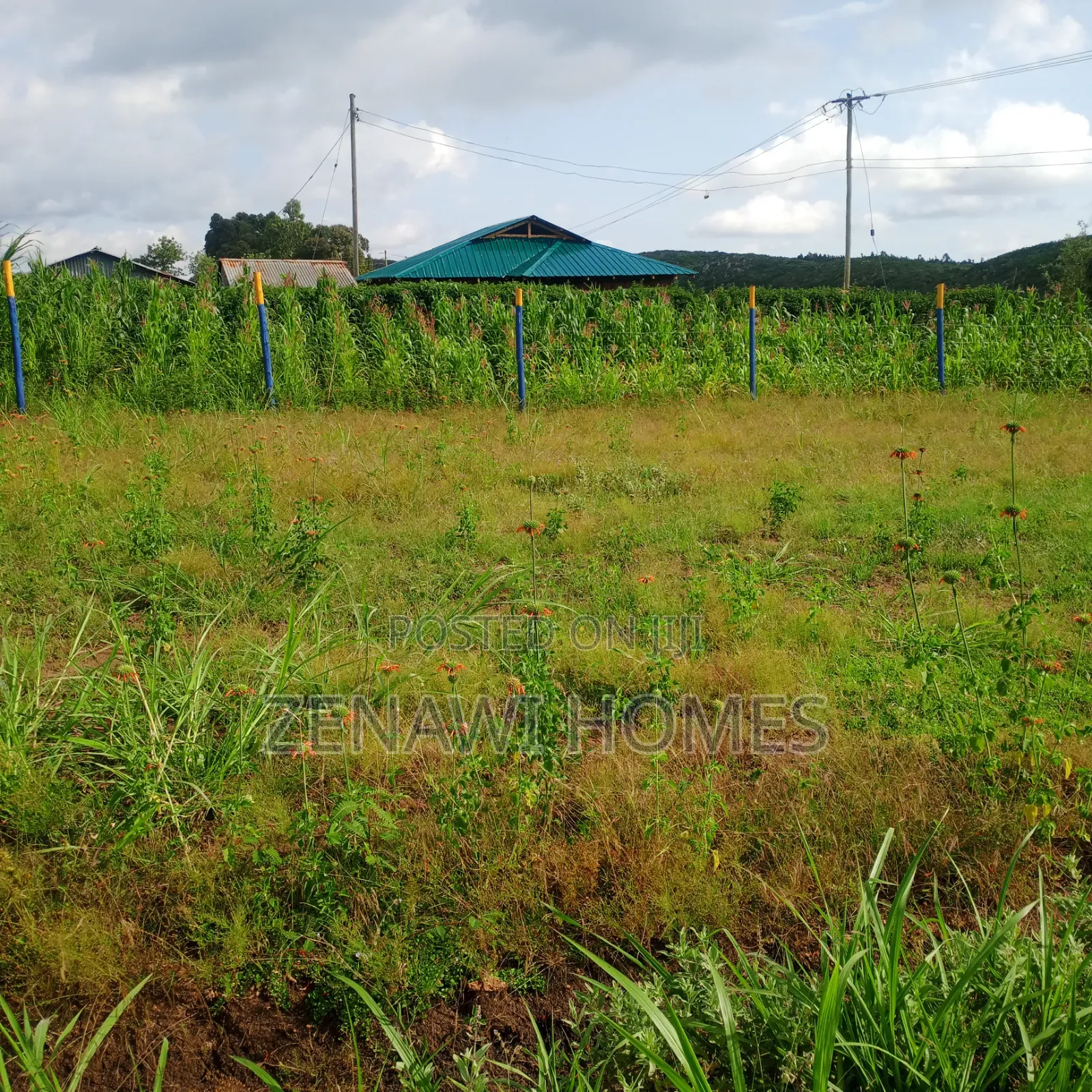 Kikuyu Kamangu Plots by Pm in Nderi