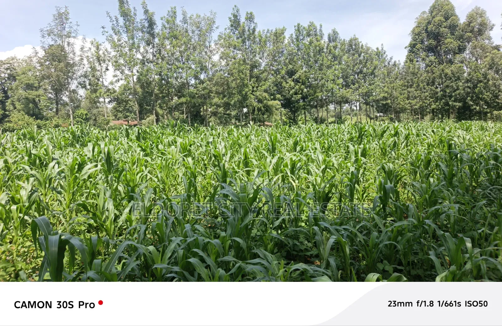 One Acre Musembe Kipkaren With Title in Kapsuswa