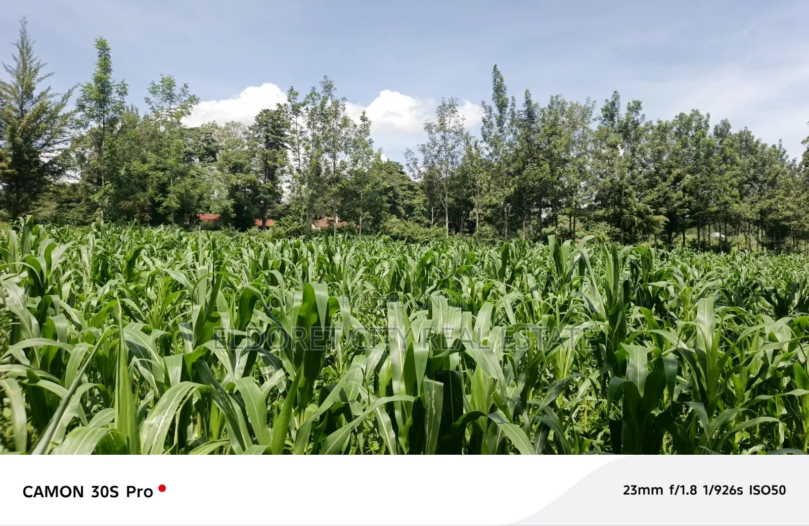 One Acre Musembe Kipkaren With Title in Kapsuswa
