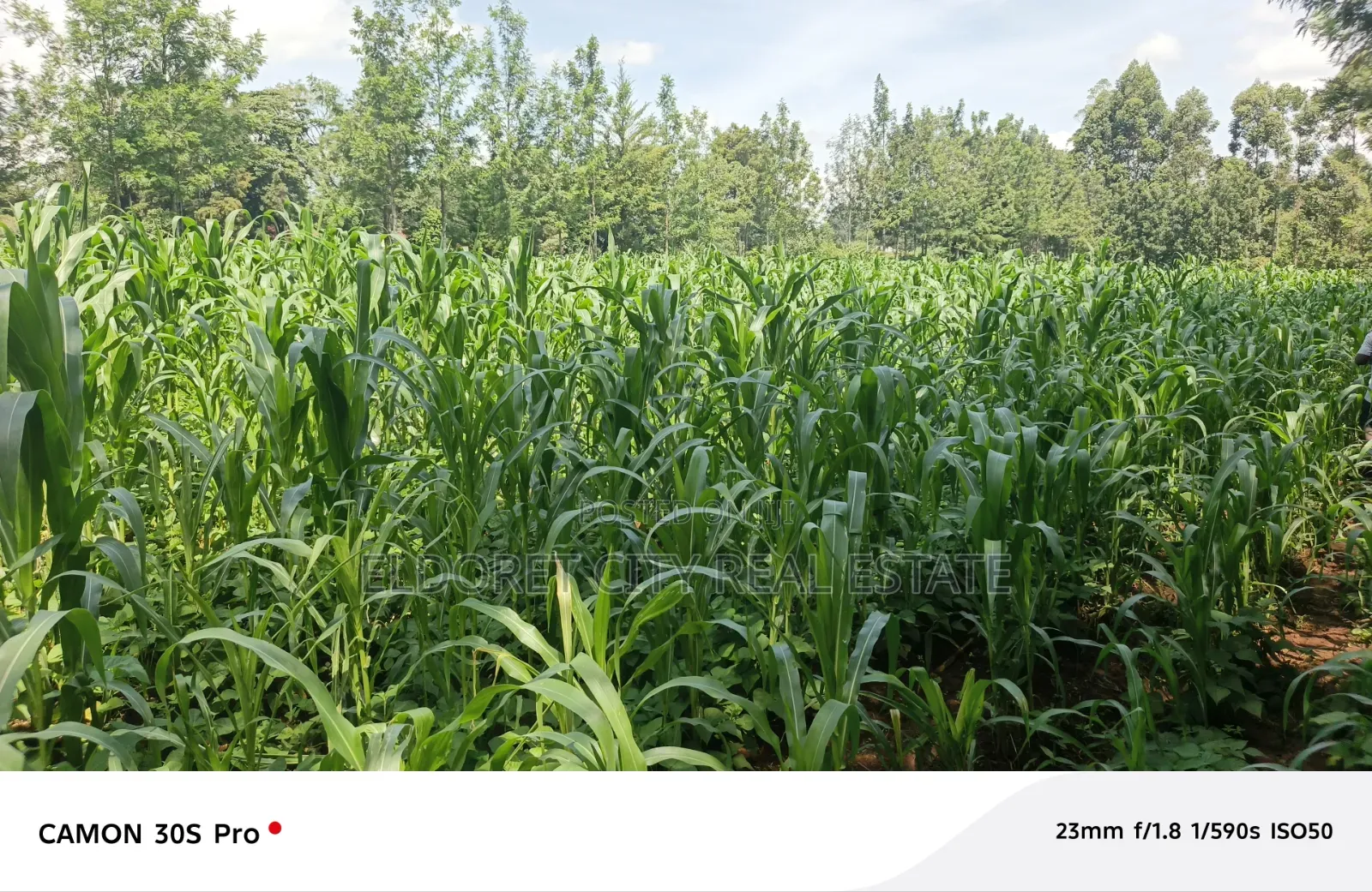 One Acre Musembe Kipkaren With Title in Kapsuswa
