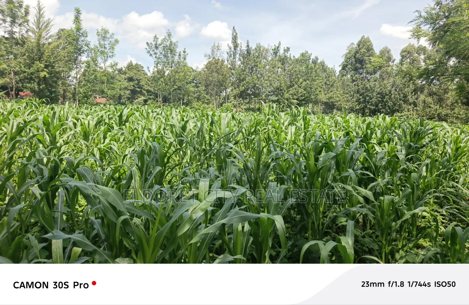 One Acre Musembe Kipkaren With Title in Kapsuswa