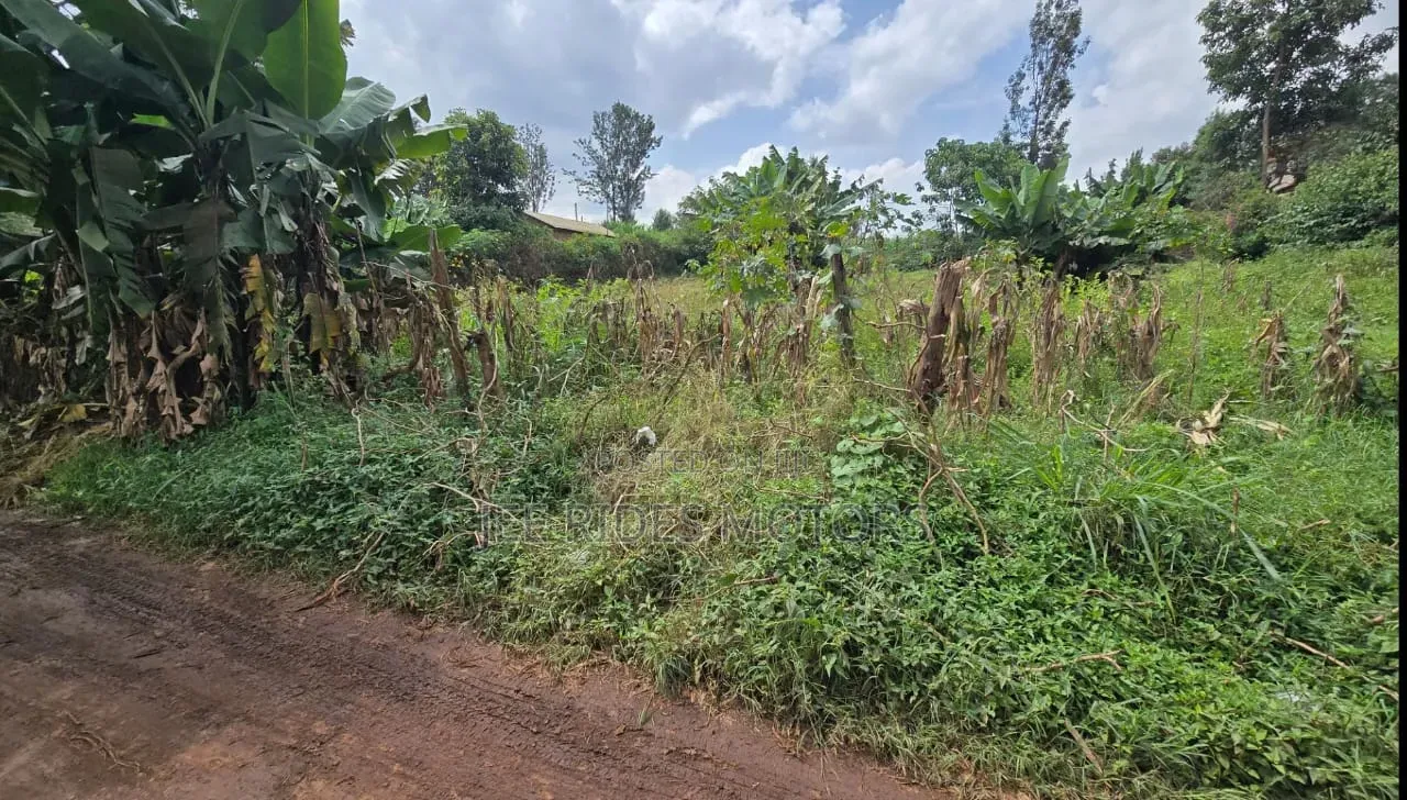 100 by 100 Plot for Sale at Kiamumbi in Nairobi Central