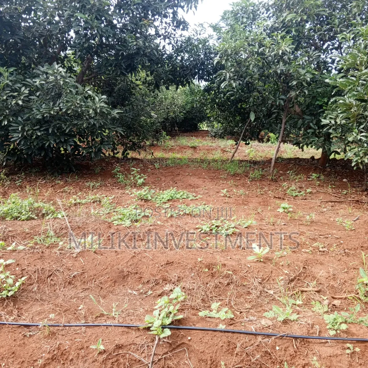 7.5 Acres on Sale at Mwea -Embu in Mwea