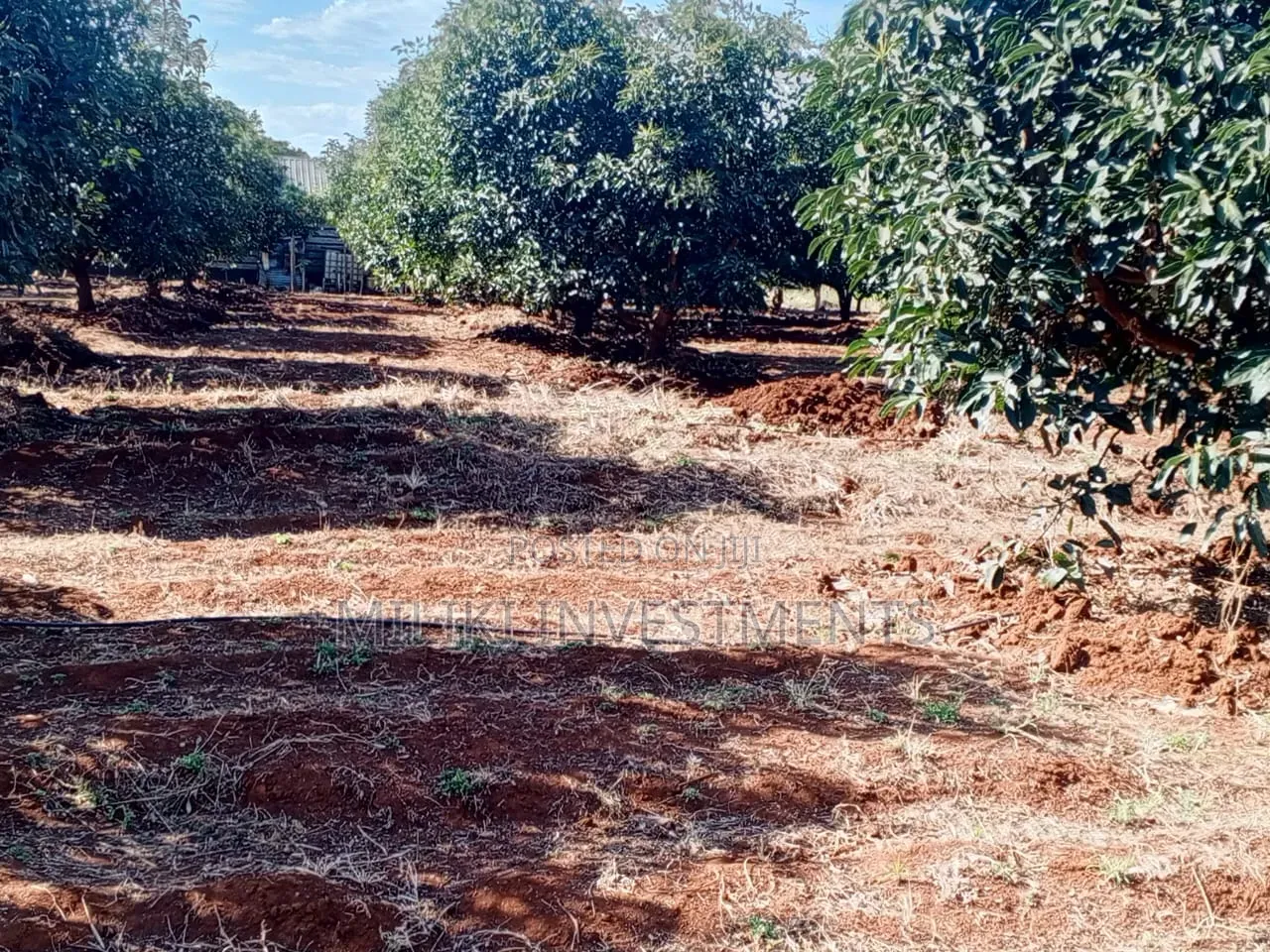 7.5 Acres on Sale at Mwea -Embu in Mwea