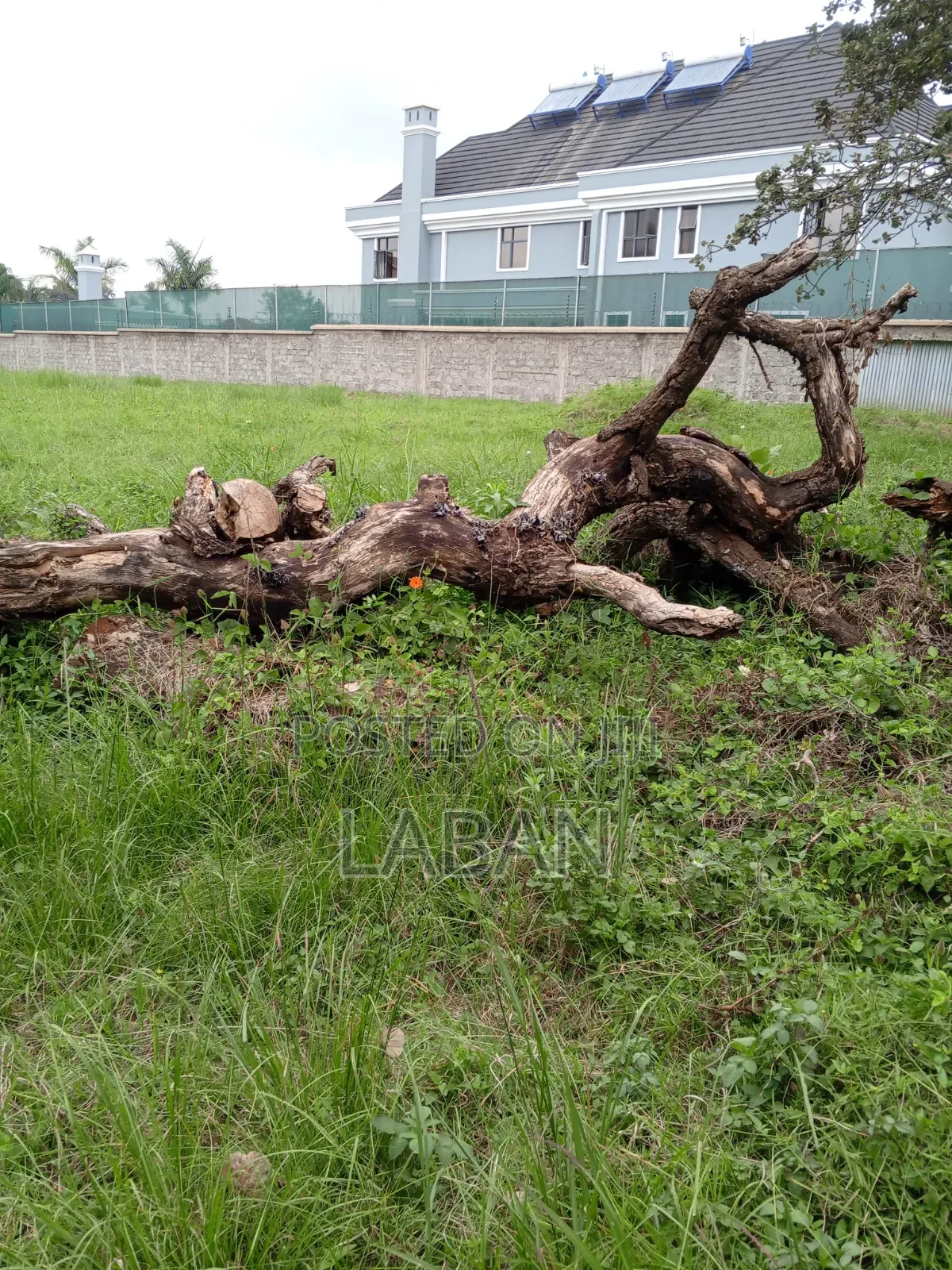 Runda Mumwe 1/2 Acre in Runda