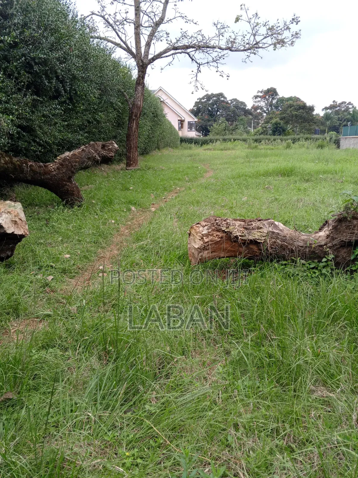 Runda Mumwe 1/2 Acre in Runda