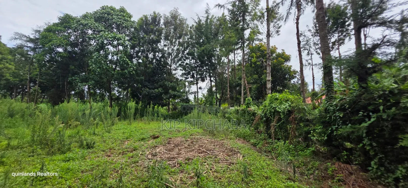 Prime 3 Plots for Sale in Kapseret Kericho Ndogo Eldoret in Wareng