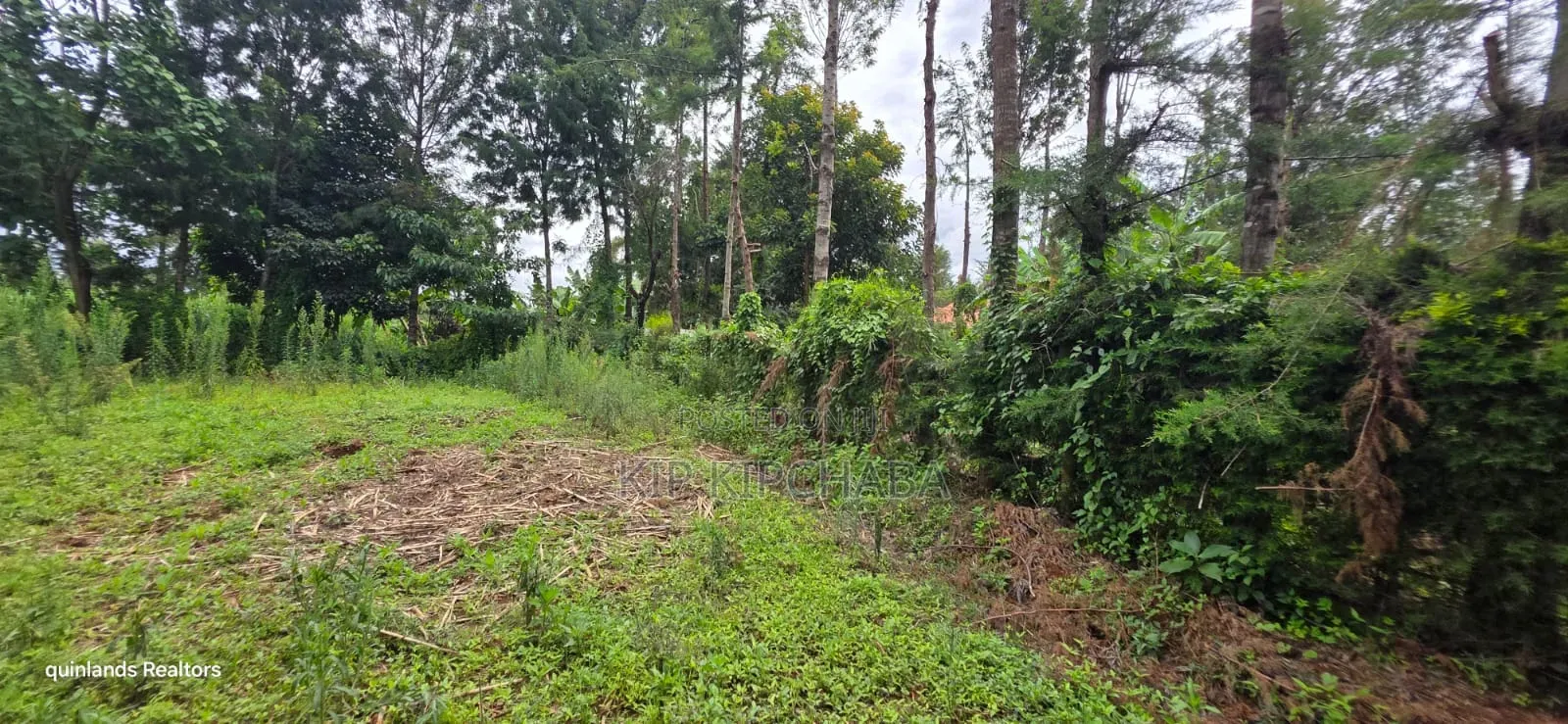 Prime 3 Plots for Sale in Kapseret Kericho Ndogo Eldoret in Wareng