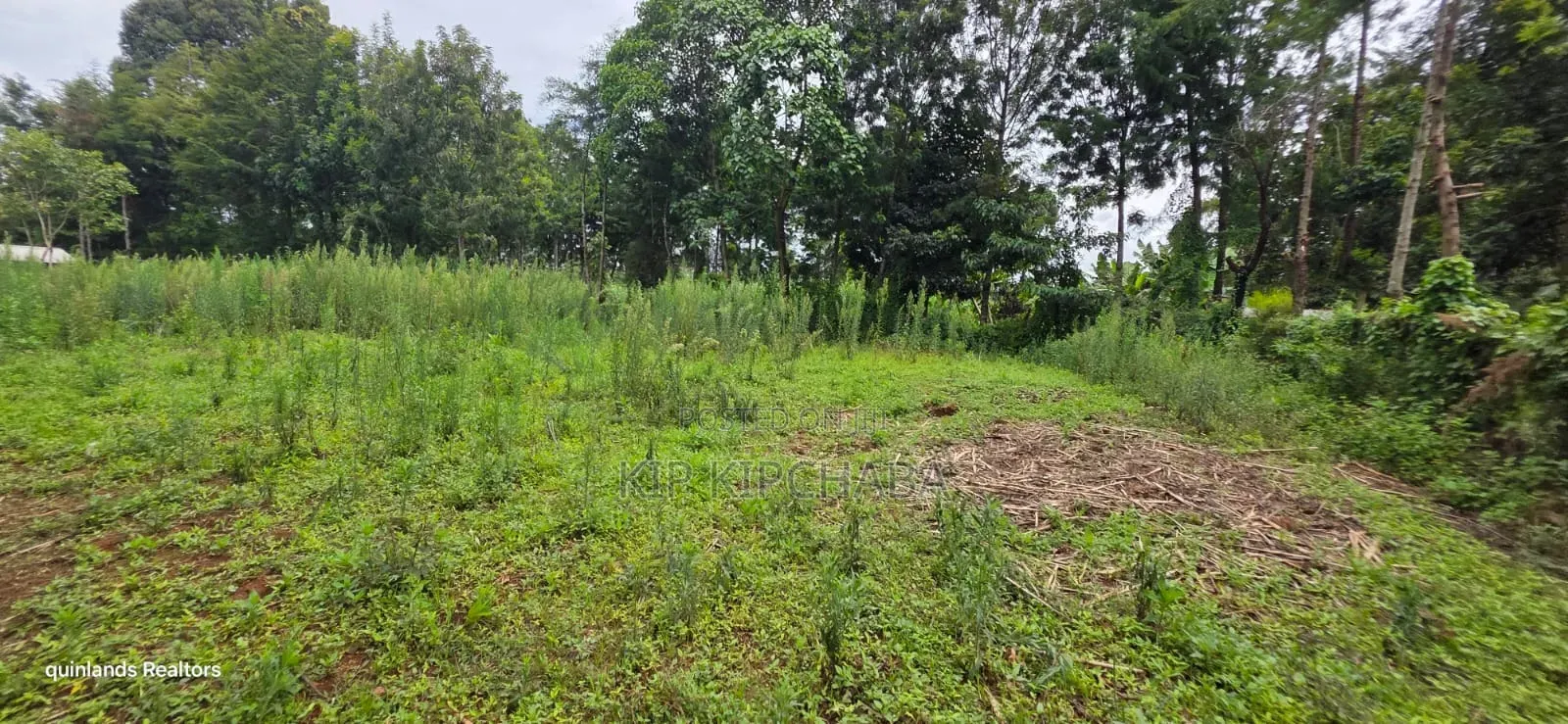 Prime 3 Plots for Sale in Kapseret Kericho Ndogo Eldoret in Wareng