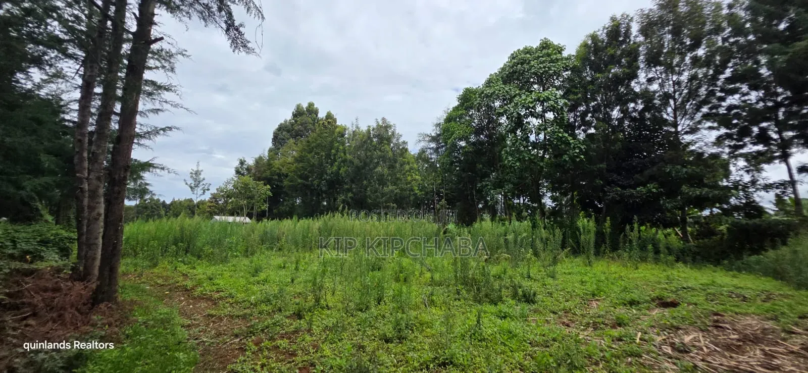 Prime 3 Plots for Sale in Kapseret Kericho Ndogo Eldoret in Wareng