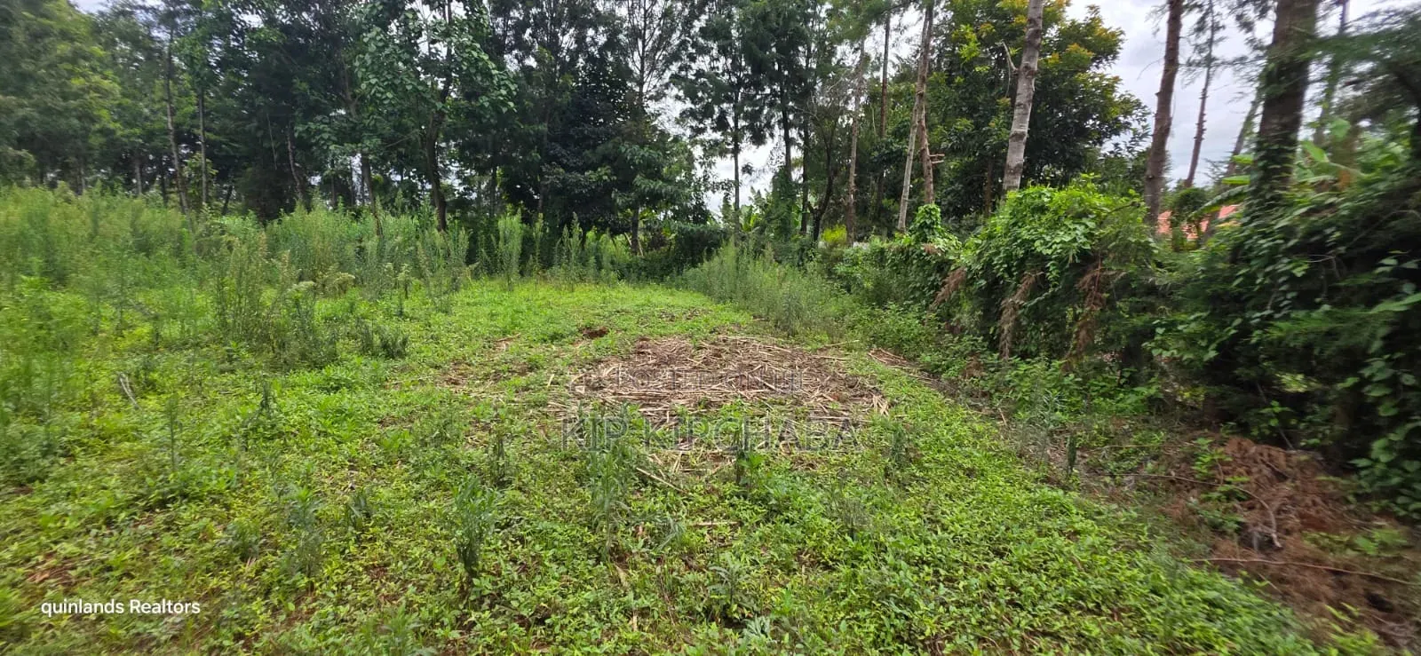Prime 3 Plots for Sale in Kapseret Kericho Ndogo Eldoret in Wareng