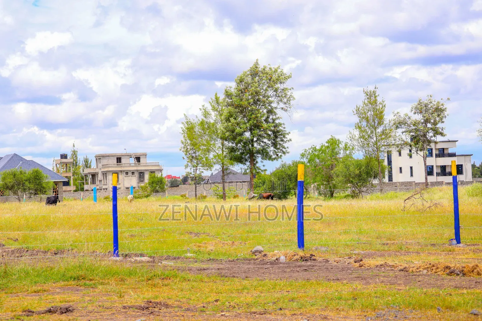 Residential Plots for Sale 50 by 100. DMM in Joska