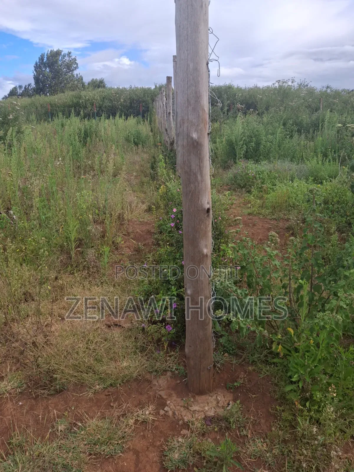 1⁄8 Acre Plots on Sale. DMM in Thogoto