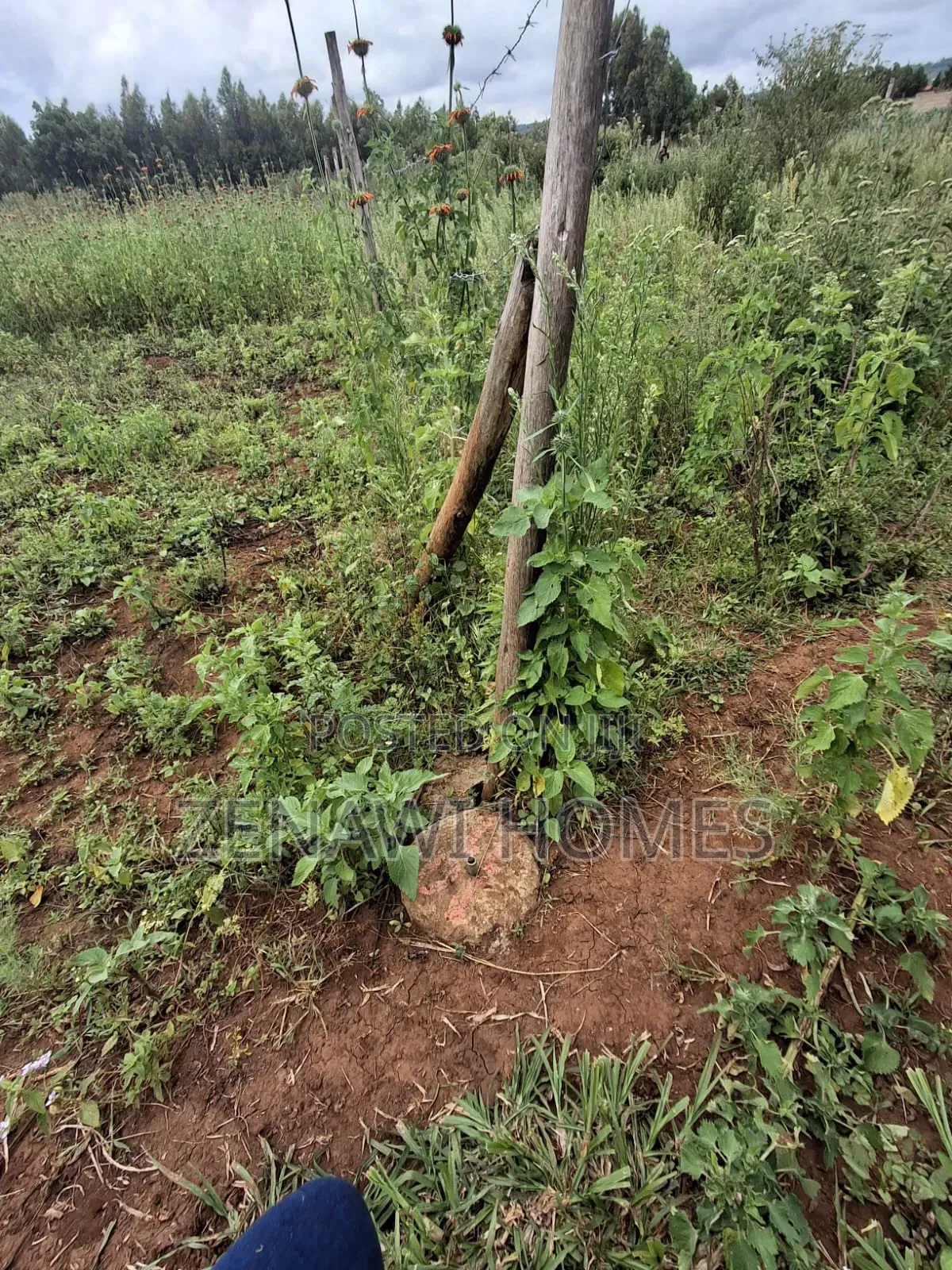 1⁄8 Acre Plots on Sale. DMM in Thogoto
