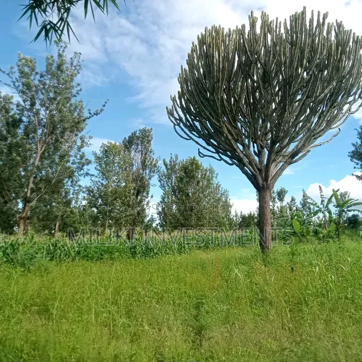 1 Acre on Sale Murang'a -Gatanga in Gatanga