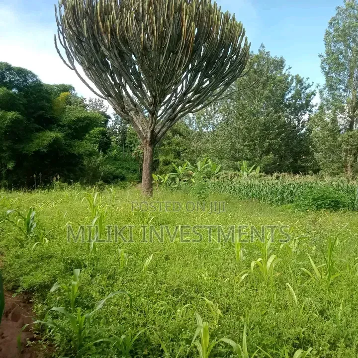1 Acre on Sale Murang'a -Gatanga in Gatanga