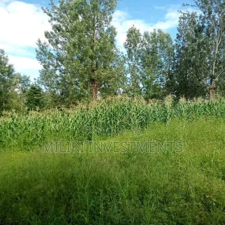 1 Acre on Sale Murang'a -Gatanga in Gatanga